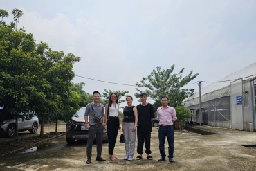 Manpower Supply